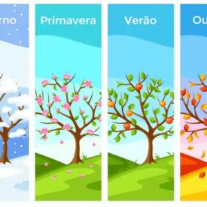Estações do Ano