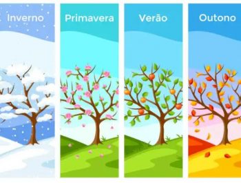 Estações do Ano